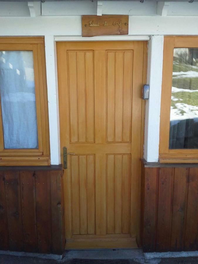 Le Saut Du Cerf Apartment Gerardmer Exterior photo